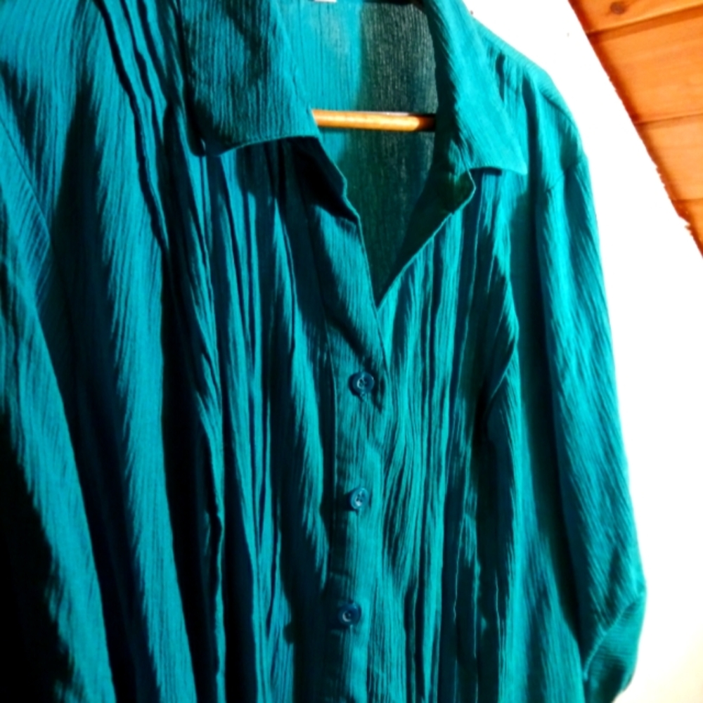 Sheer Cotton Button-Down